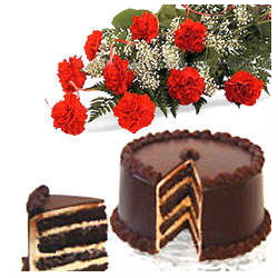 Bunch of 12 Red Carnation & 1/2KG Chocolate Cake 
