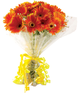 Bunch of 20 Orange GerberaFlowers Delivery in Chickpet Bangalore