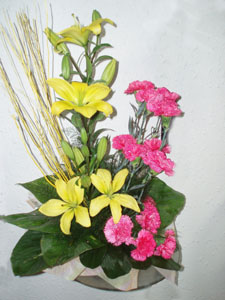The sign of JoyFlowers Delivery in Benson Town Bangalore