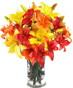 6 Multibuds Mix Asiatic Lilliums in VaseFlowers Delivery in Chickpet Bangalore