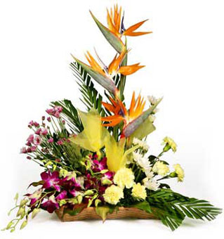 Arrangement of 15 Carnations & 10 Orchids & 5 BOP Flowers Delivery in Mico Layout Bangalore