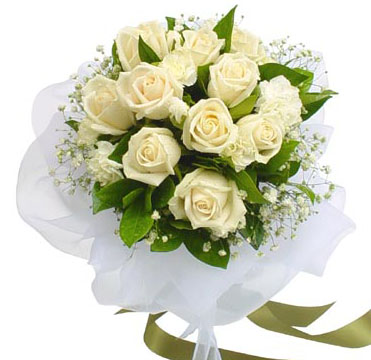 Bunch of 12 White Rose in Net Packing