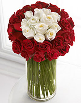 Round Arrangement of 50 Red & White Roses in Vase
