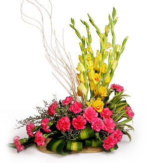 One Side Arrangement of 20 Pink Carnation & 15 Yellow Gladiolus