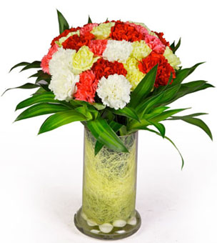 30 Mix Carnation in Vase